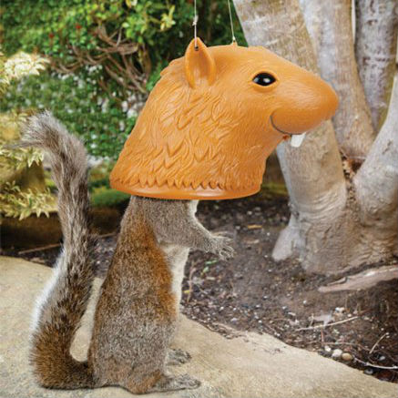 big head squirrel feeder