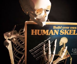 What can you do with an anatomically correct life size cardboard skeleton? The real question is what can’t you do with it!?  
