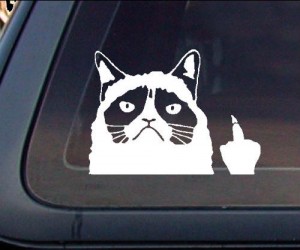 Let the person riding your bumper know how you feel with the help of the good ol’ grumpy cat attitude!  