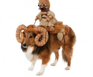 Bantha Dog Costume – Your dog will make the perfect ride for a Tusken Raider