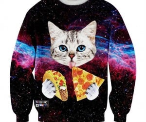 3 of our favorite things! Galaxy cats, tacos, and pizza!
