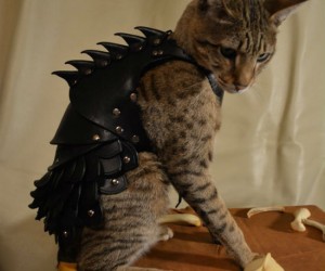 Cat Battle Armor – Turns any cat into an unstoppable killing machine.
