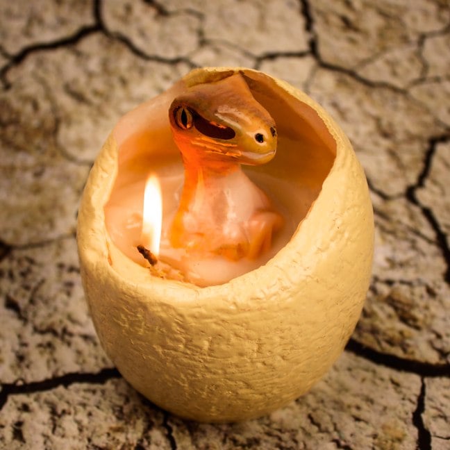 hatching-dinosaur-egg-candle