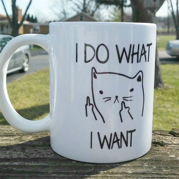 i-do-what-i-want-cat-middle-finger-mug-suatmm
