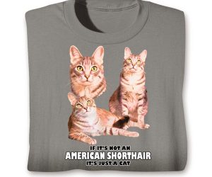 Cat Breed Shirts!