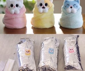 Purritos – Introducing Purritos! Savory, salty, and sweet: these purr-fectly wrapped cats come in three irresistible flavors