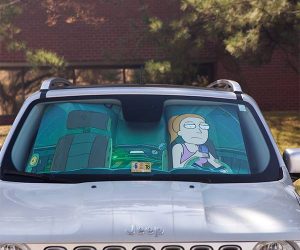 Rick and Morty Protect Summer Sunshade – Not a bad trade for spider peace