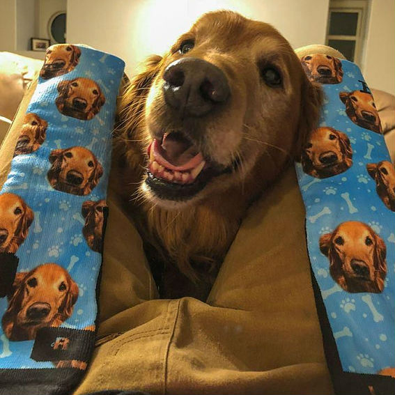 customized dog socks 