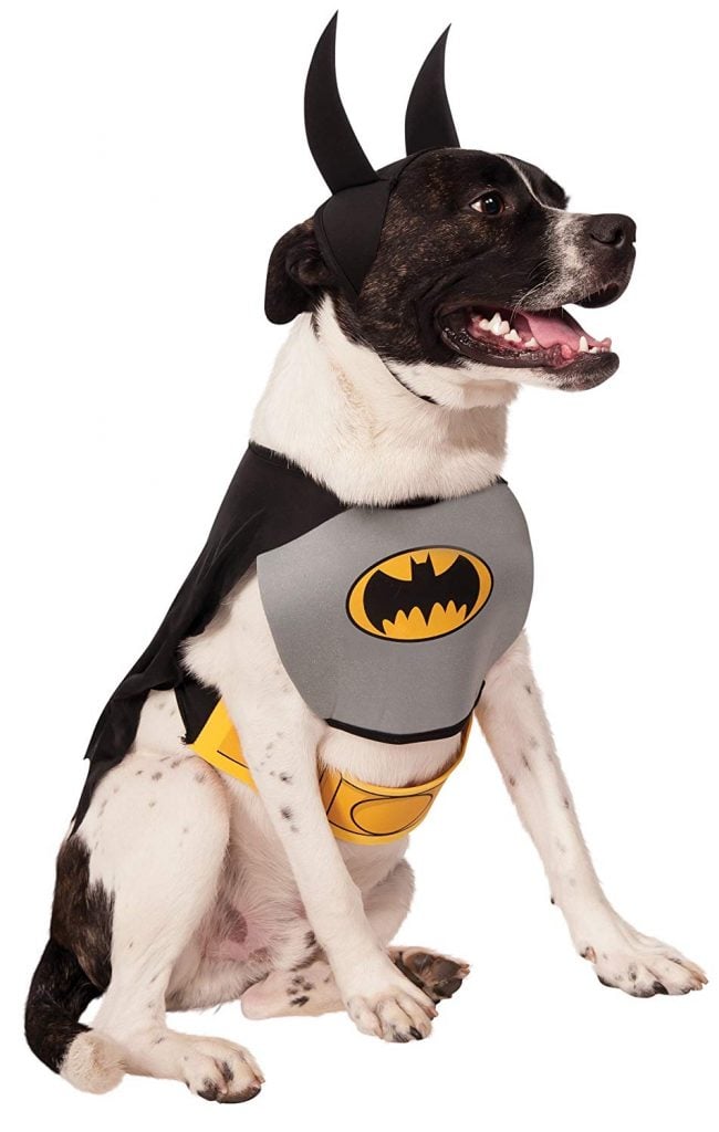 batman dog costume 