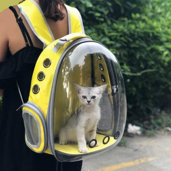 capsule pet travel backpack 