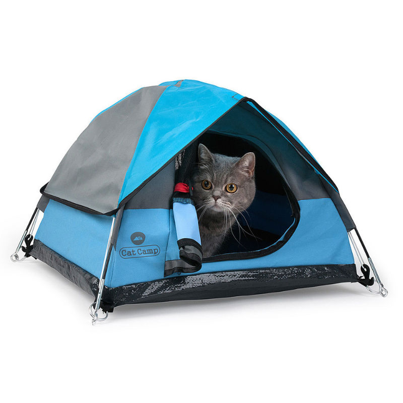 cat camp cat tent 