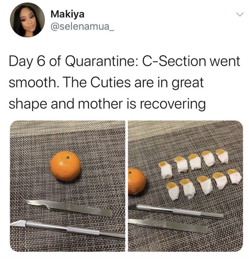 day 6 of quarantine orange 