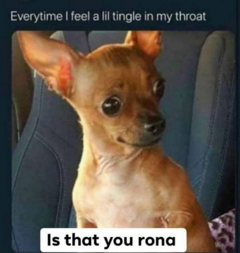 Every Time I Feel A Little Tingle In My Throat Is That You Rona
