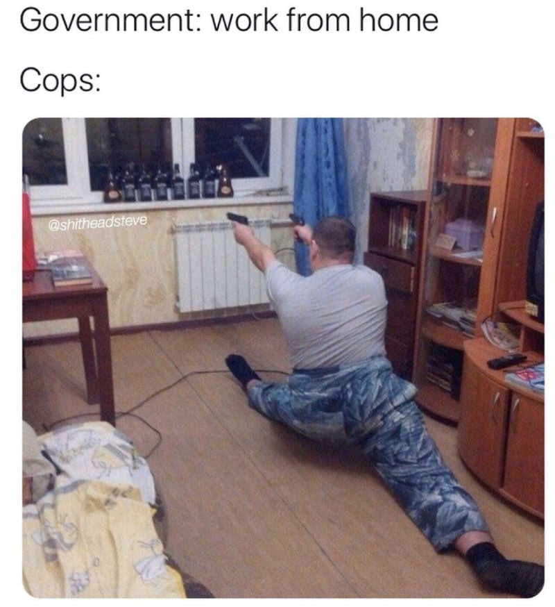 government work from home cops 