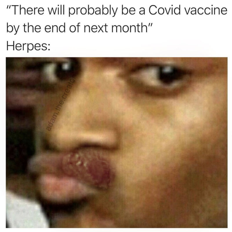 there will probably be a covid vaccine by the end of the month herpes coronavirus meme