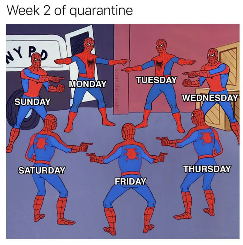 Week 2 Of Quarantine Spiderman Coronavirus Meme - Shut Up And Take My Money