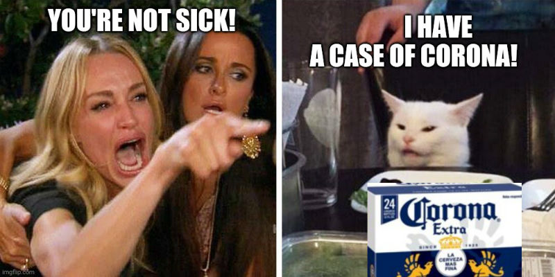 youre not sick i have a case of corona cat meme