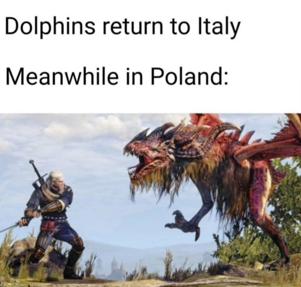 dolphins return to italy meanwhile in poland 