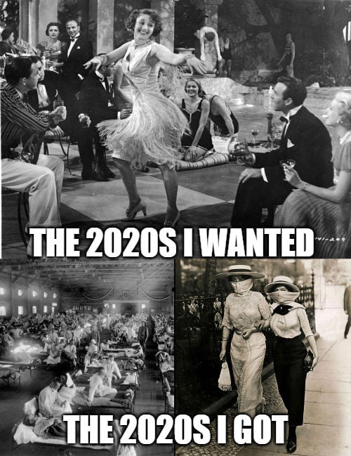 the 2020s i wanted the 2020s i got meme