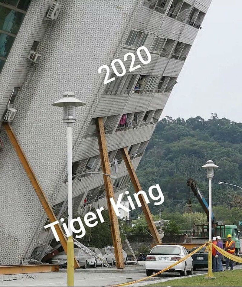 tiger kind holding up 2020 meme