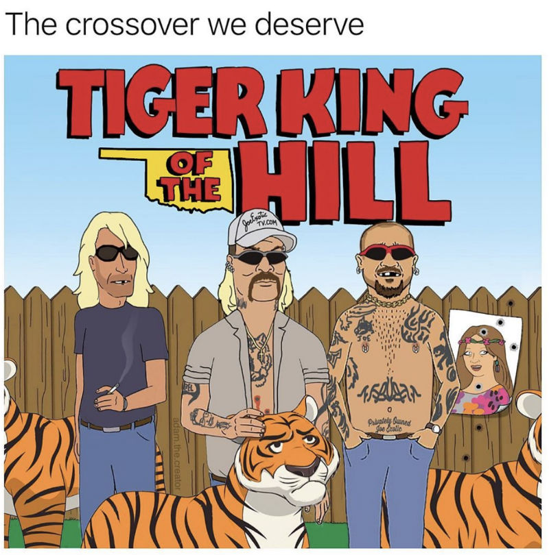 tiger king of the hill meme