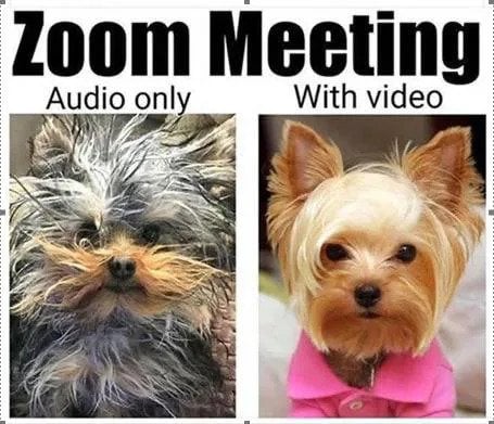 zoom meeeting audio vs video 