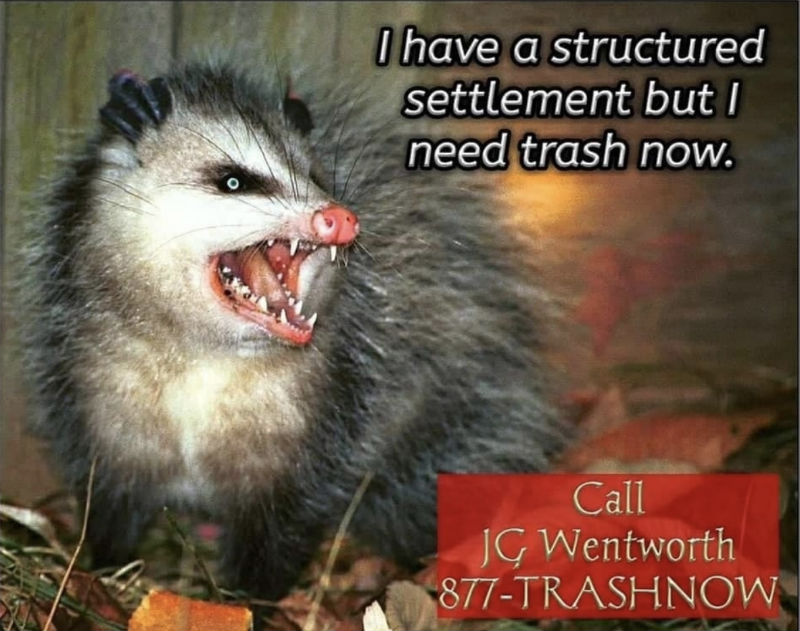 I Have A Structured Settlement But I Need Trash Now - Shut ...