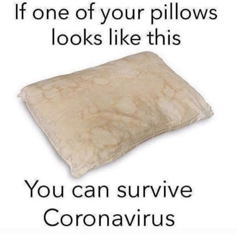 if one of your pillows looks like this you can survive coronavirus 