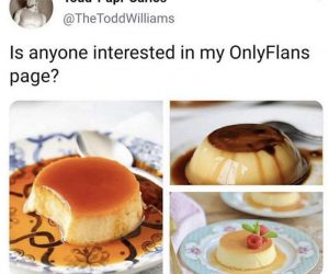 Is Anyone Interested In My OnlyFlans Page? – Meme