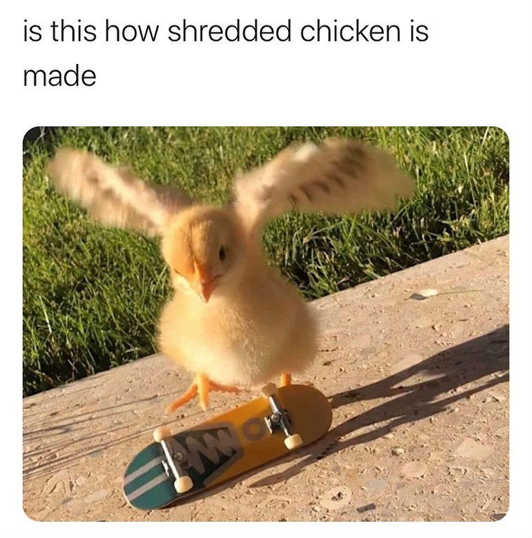 is-this-how-shredded-chicken-is-made-chi