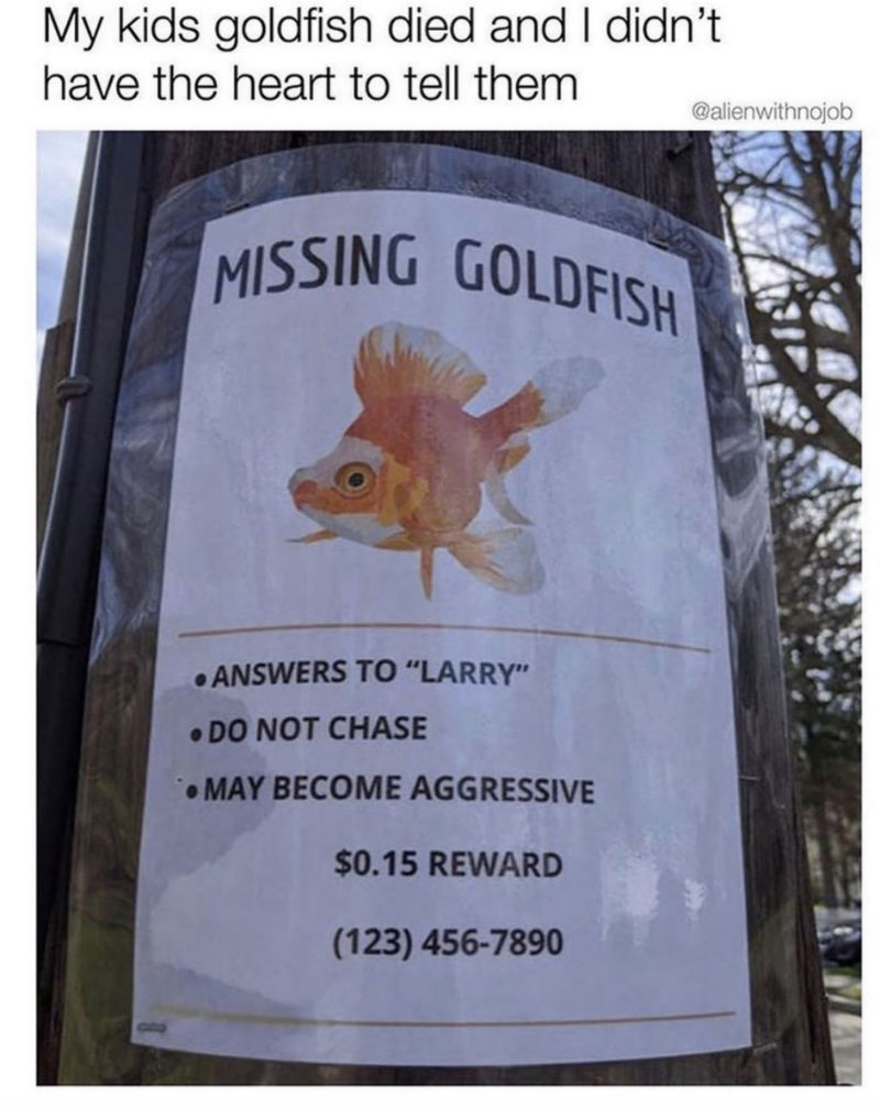 missing goldfish sign 