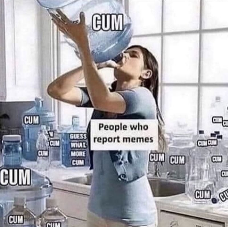 people who report memes 