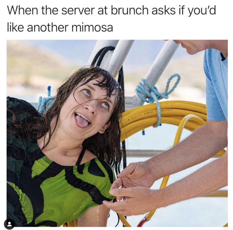 when your server at lunch asks if youd like anothe rmimosa meme