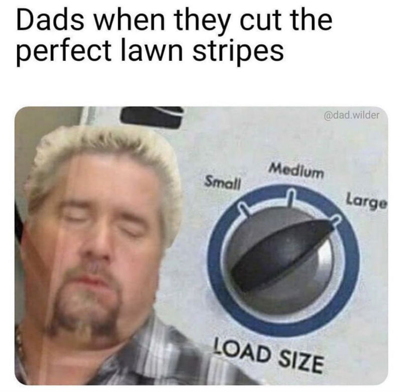 dad when they cut the perfect lawn stripes 