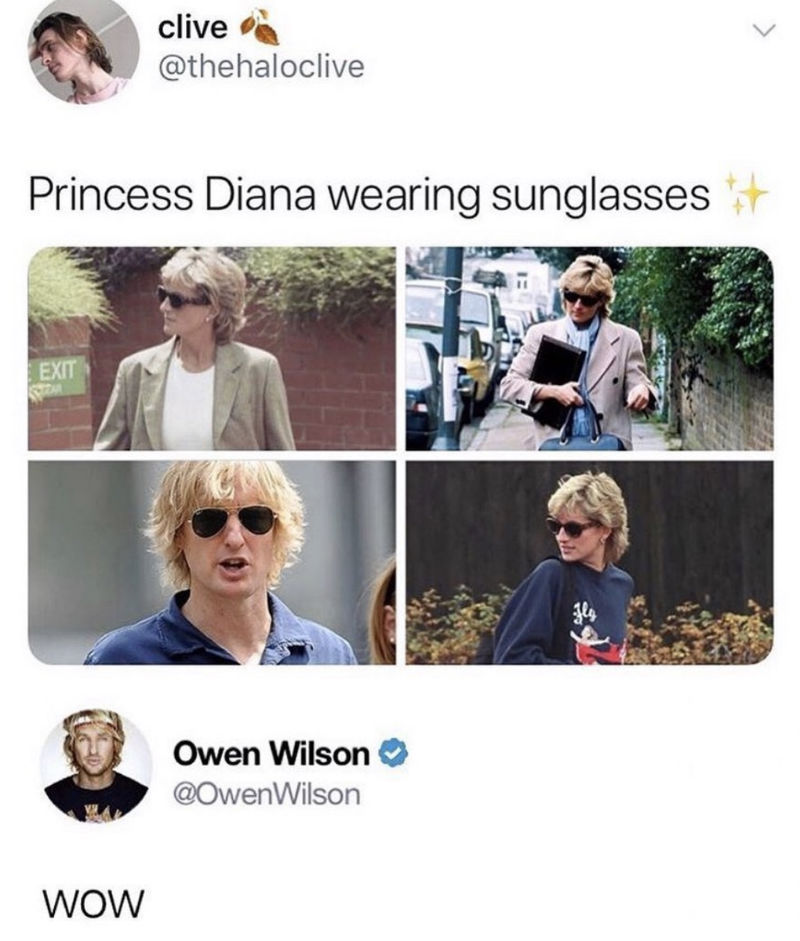owen wilson looks like princess diana meme