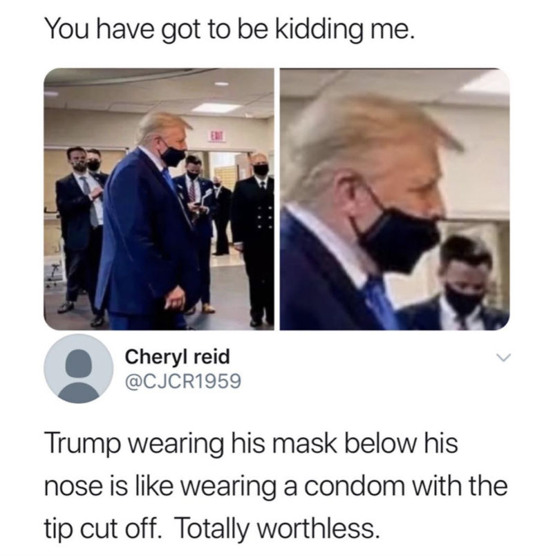 trump wearing mask meme