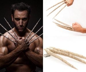 Wolverine Bone Claws – It all started here before the Adamantium claws!