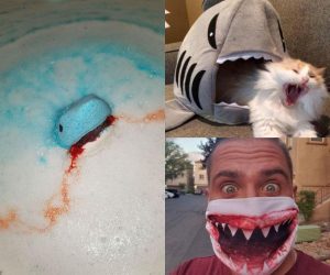   It’s Shark Week! We compiled some of our favorite shark products that will surely be a hit. Don’t worry though, this list won’t take too big a bit out