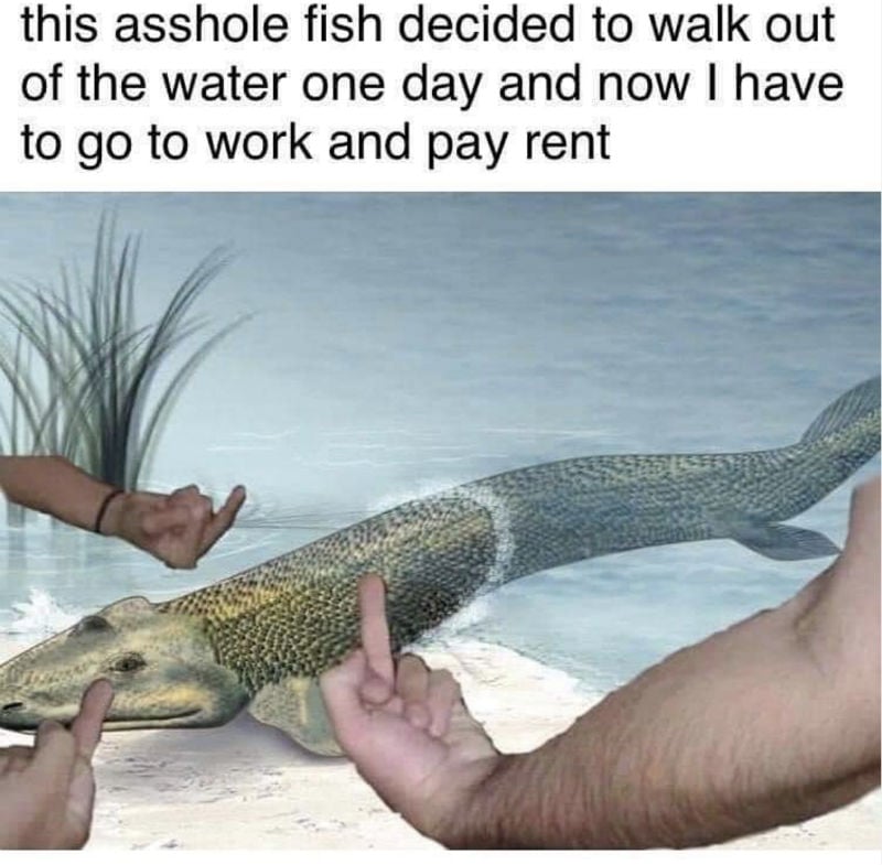 This Asshole Fish Decided To Walk Out Of The Water One Day And Now I Have  To Pay Rent - Meme - Shut Up And Take My Money