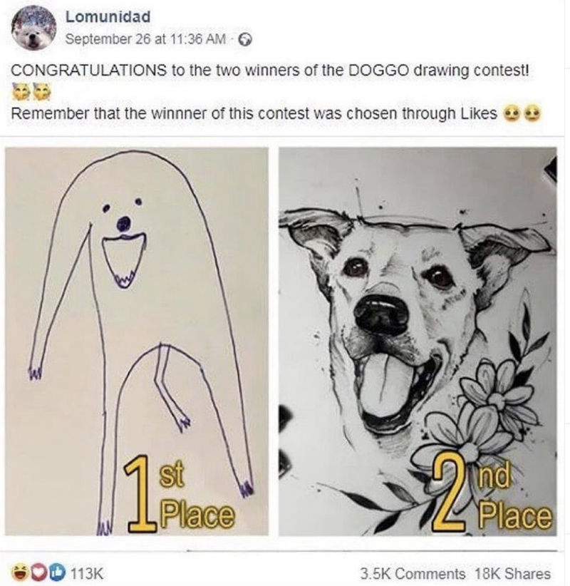 congratulations to the two doggo contest 