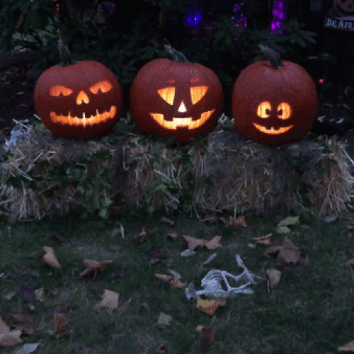 Singing Pumpkins – Win Halloween with this singing pumpkin trio!