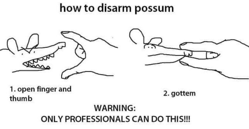how to disarm possum