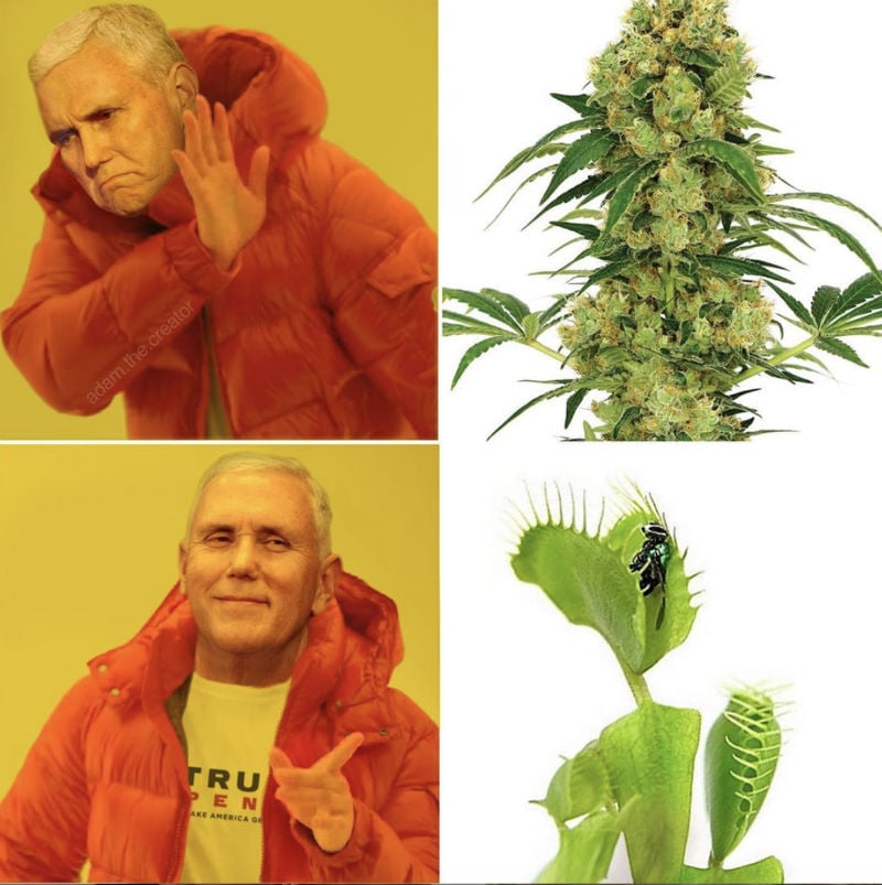mike pence venus fly trap 