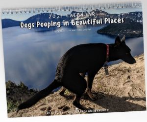 Dogs Pooping in Beautiful Places 2021 Calendar – The best gift a pet lover can get!