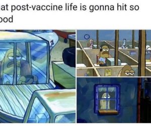 The Post Vaccine Life Is Gonna Hit So Good – Meme