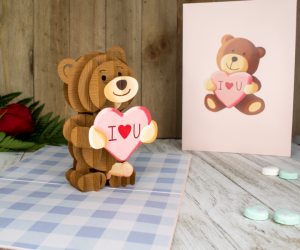 Bad Bear Inappropriate 3D Greeting Card – Well isn’t this teddy bear sneaky as f***.