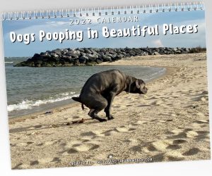 Dogs Pooping in Beautiful Places 2022 Calendar – The best gift a pet lover can get!