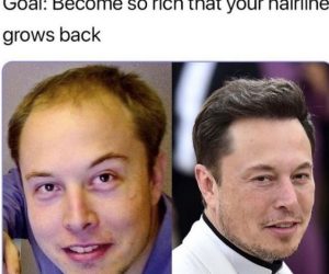 Goal Become So Rich That Your Hairline Grows Back – Elon Musk Meme