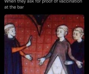 When They Ask For Proof Of Vaccination At The Bar – Meme
